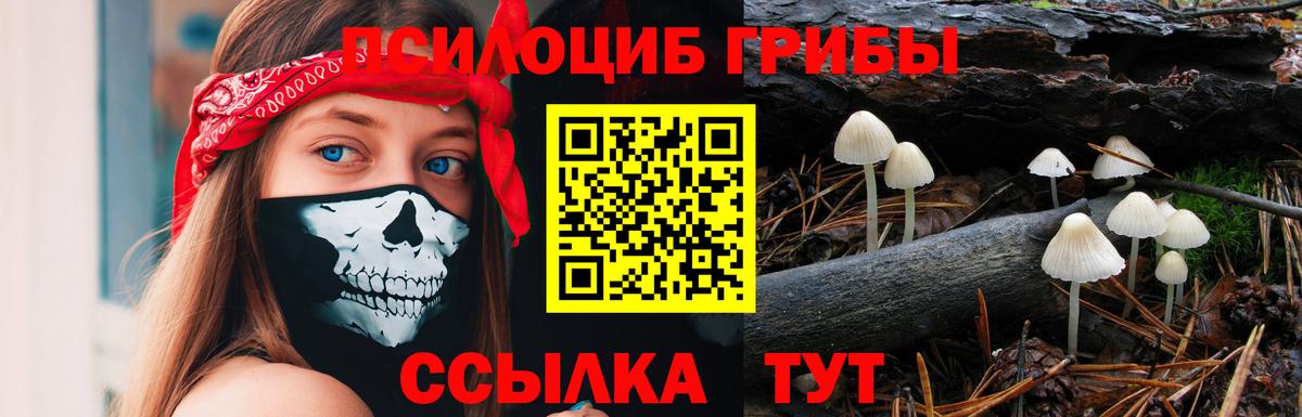 Псилоцибиновые грибы MAGIC MUSHROOMS  Вход с VPN  Абинск 